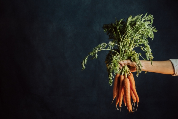 Conférences gratuites sur le potager