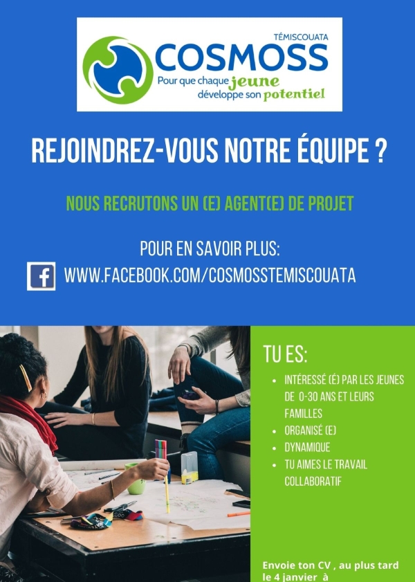 Agent(e) de projet